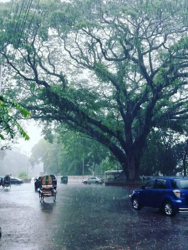 Unexpected Snow & Rain Surprise India This March 2026